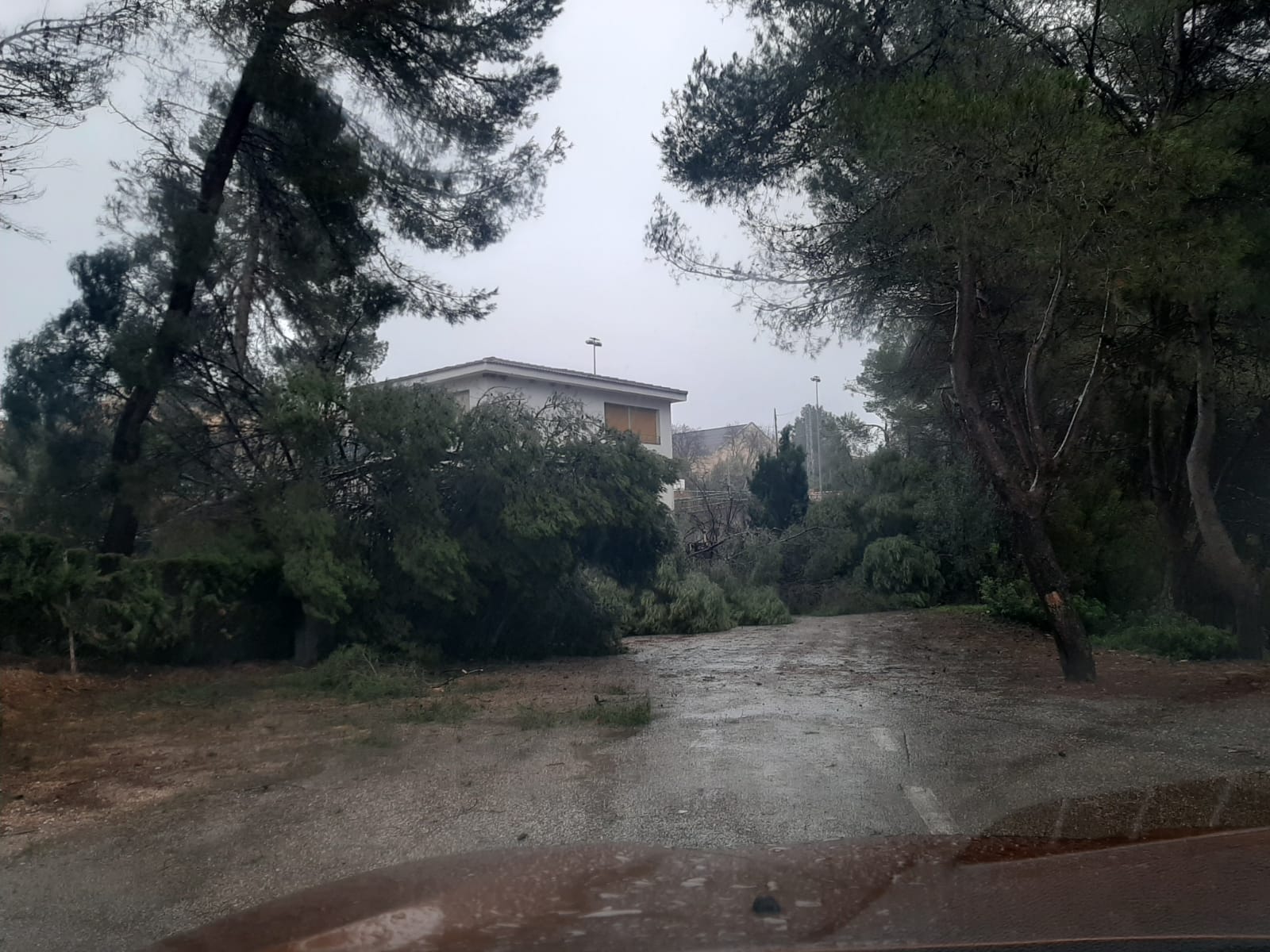 10aac017 ae11 44bb a512 79c7375335be