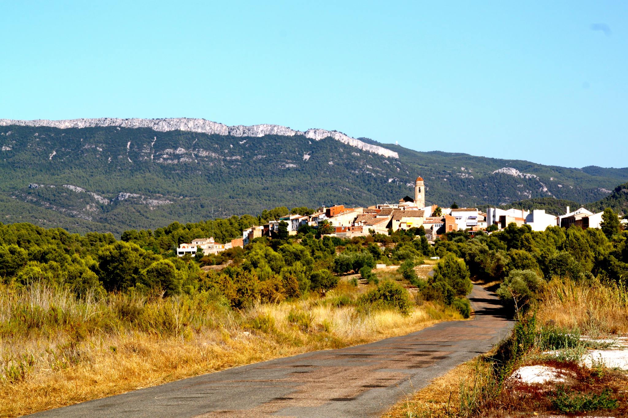 11227931 1406728036323389 7717213274963246703 o