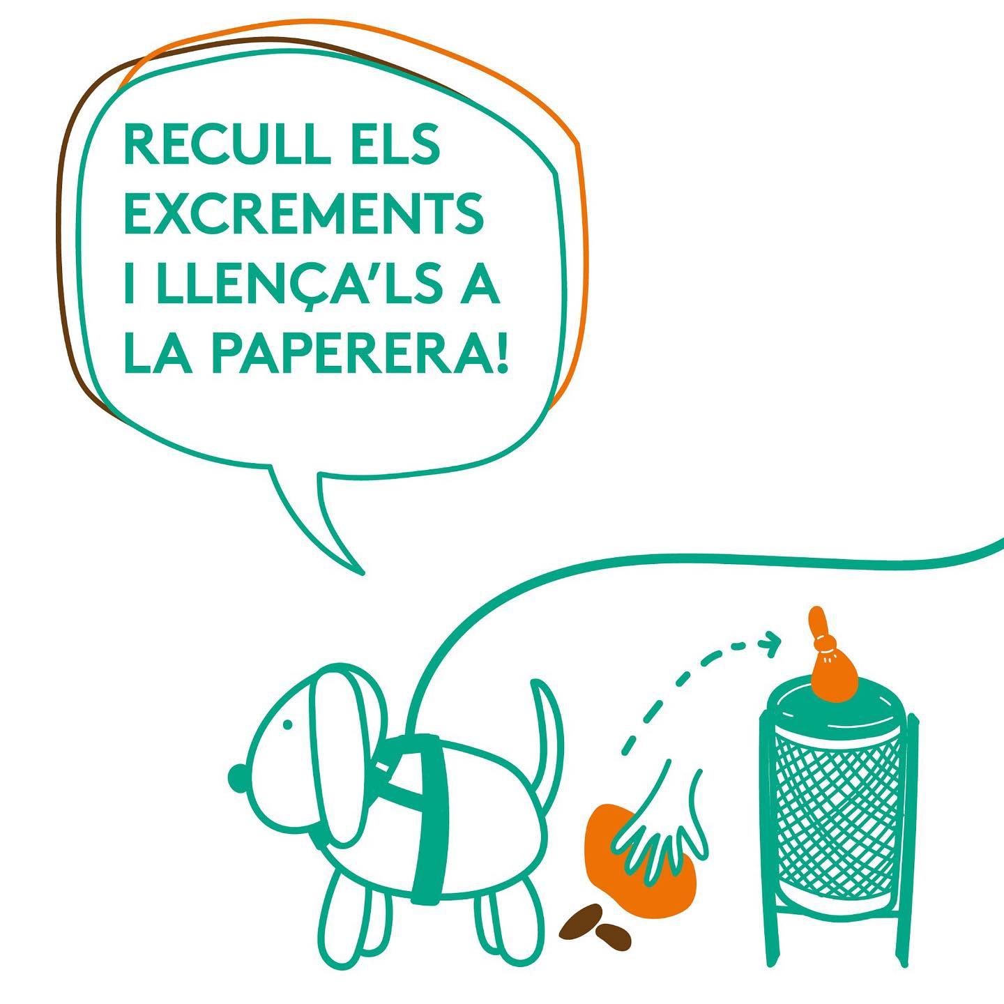 164240407 3784117381642072 9091260593422172395 o