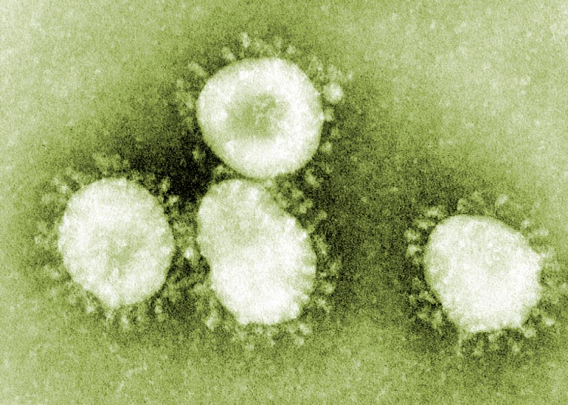 20200127 coronavirus.jpg 2024538393
