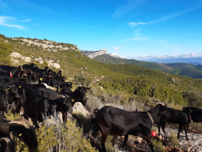 62e7ed58 7189 46f1 afe1 fefb2fa8e6b4.jpg