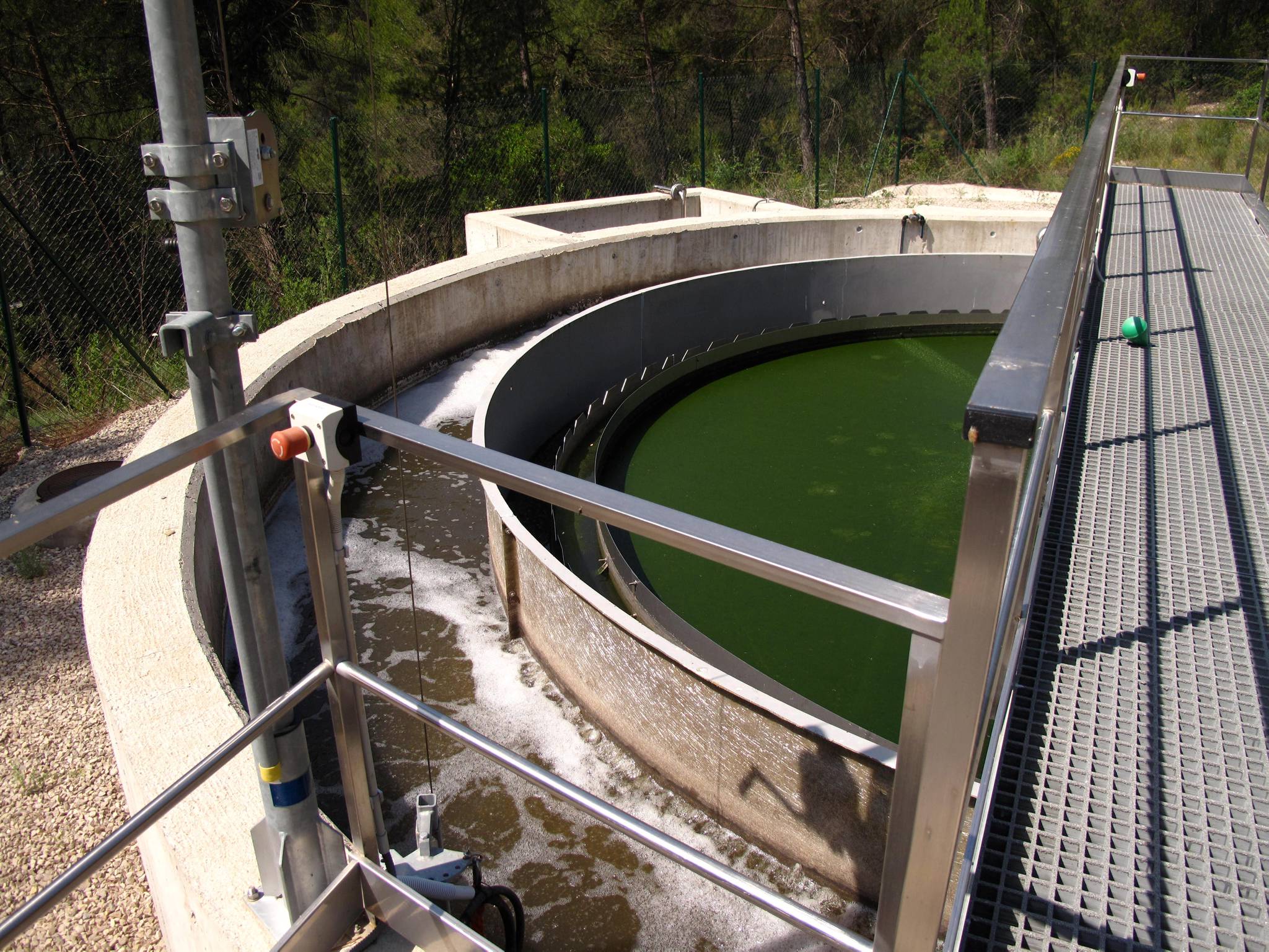 BIG 765371509110921 02