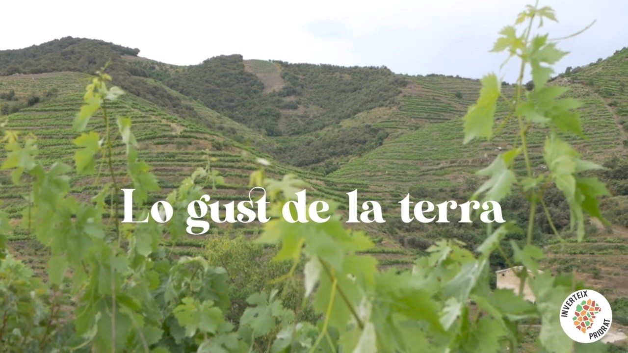 IMATGE VIDEO LO GUST DE LA TERRA