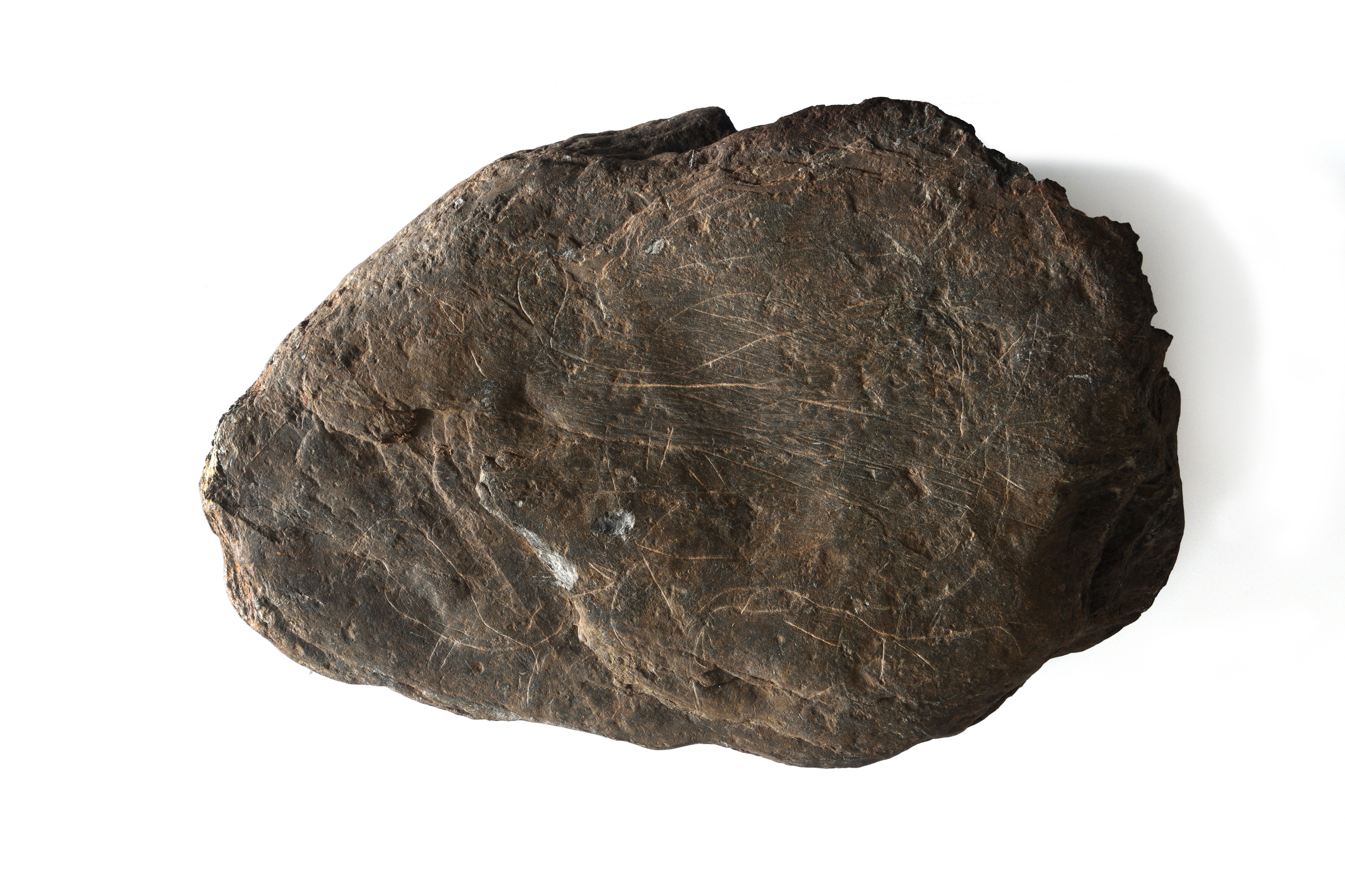 MAC PlaquetaPaleoliticCovesdelFem 2