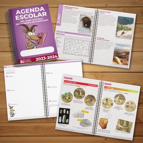 N17 agenda 2324 500px.jpg 622590183