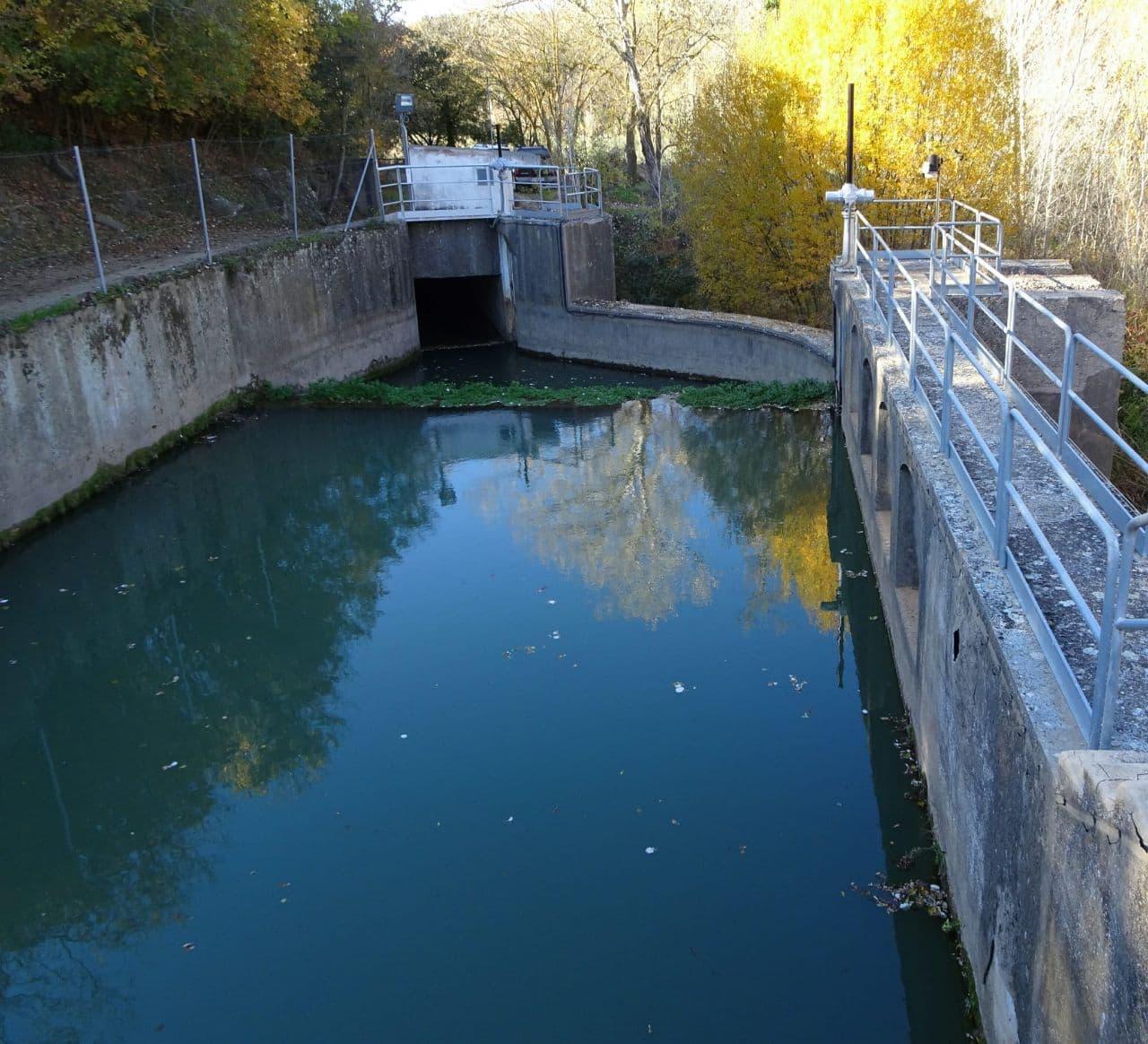 assutsiuranaecologistesaccio