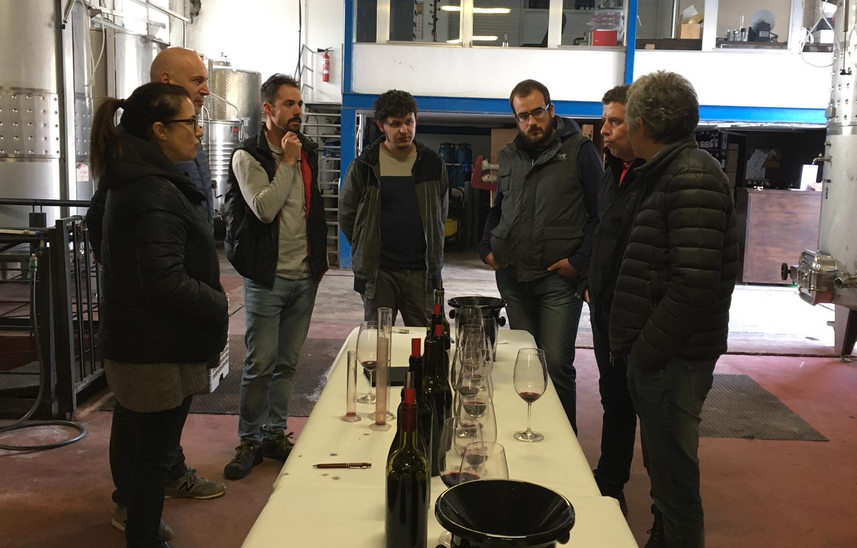 dom cupatge vi solidari