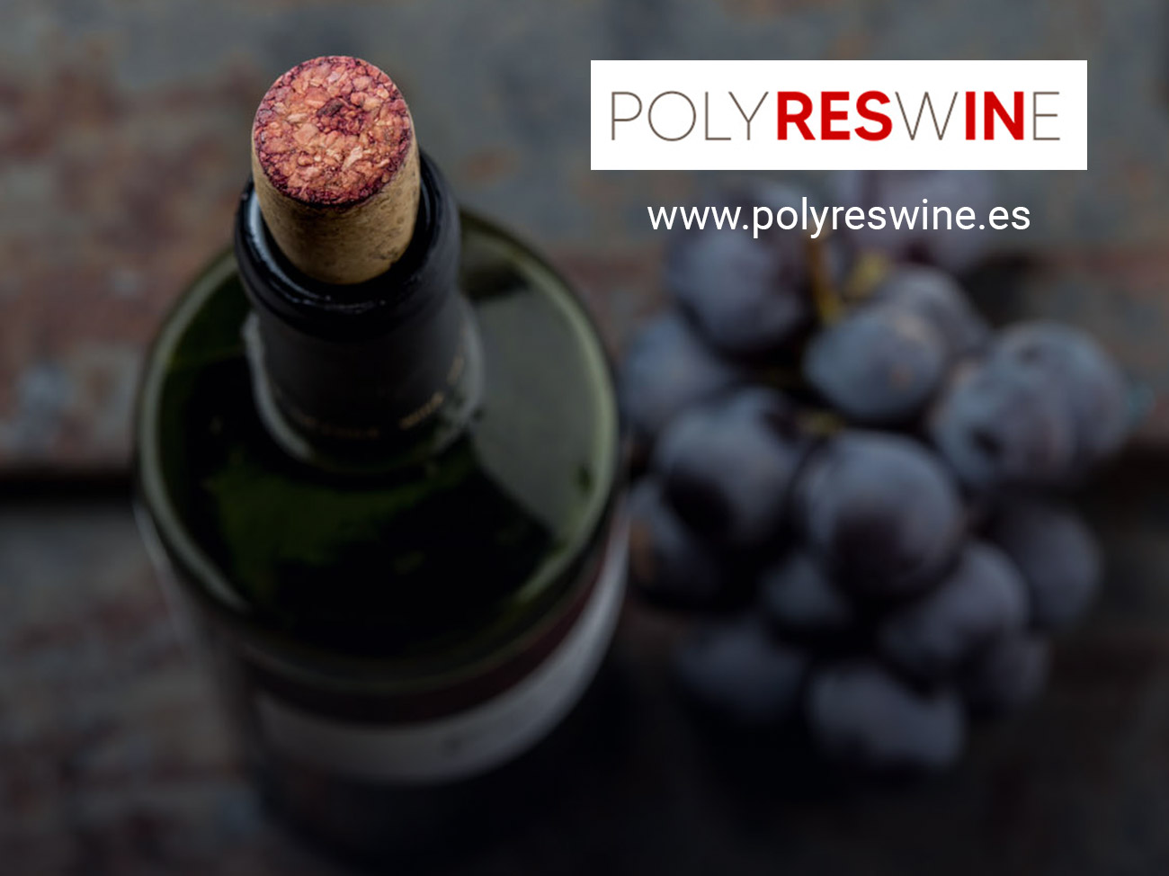 fotos-nnpp-polyreswine-2.jpg