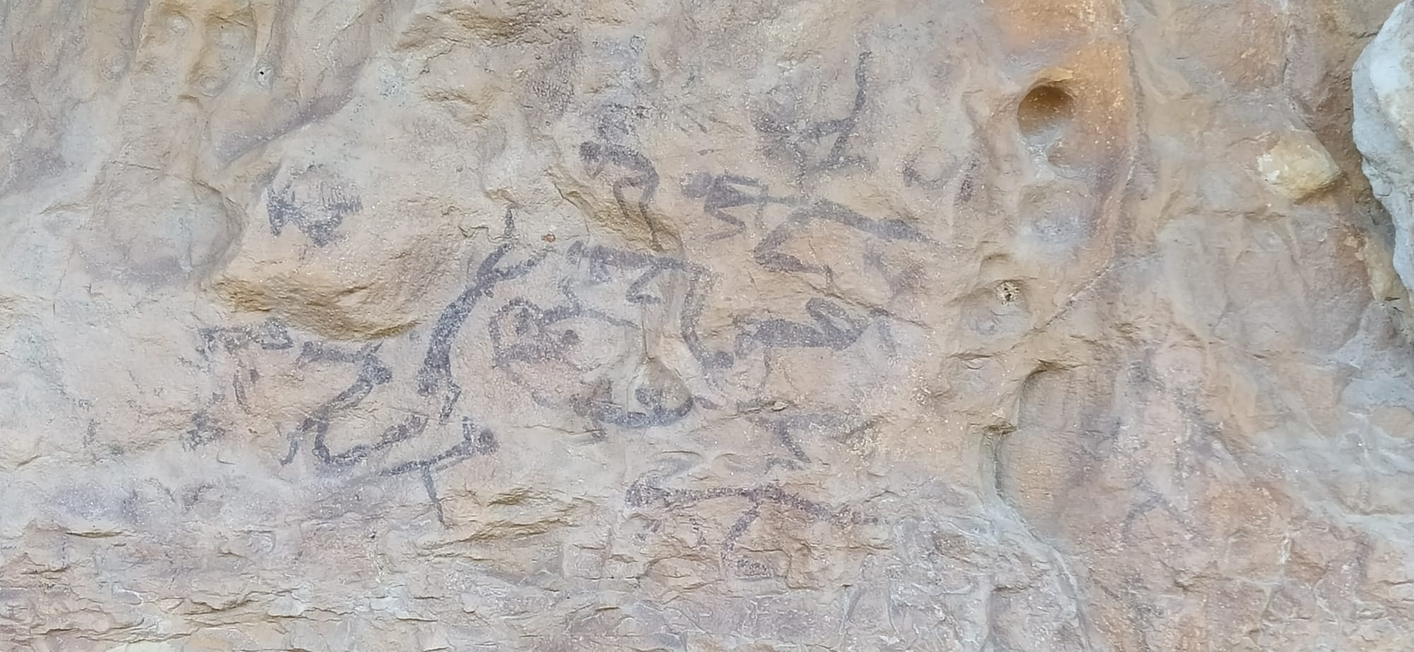 matanca rupestre capcanes